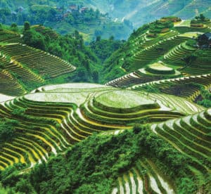 Banawe Rice Terraces. Source: Imgur